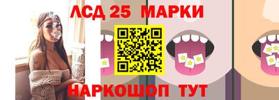 стаф Краснодар