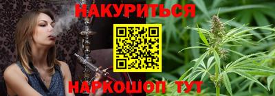 стаф Краснодар